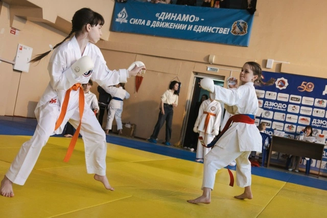 Фотография из архива Федерации каратэ WKC