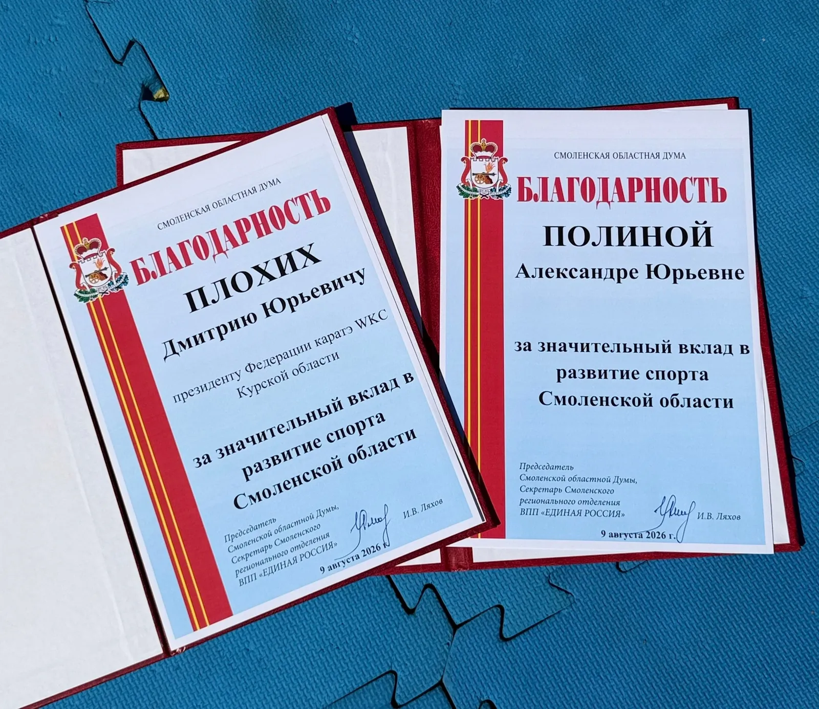 Благодарности и награды федерации